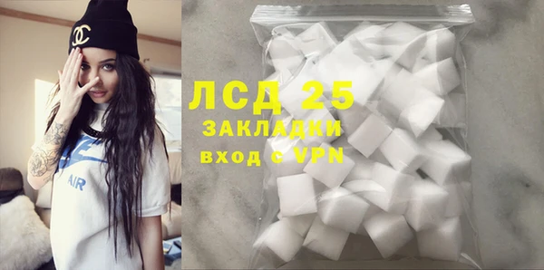 индика Зерноград