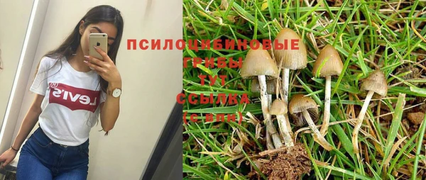 мяу мяу мука Зеленокумск