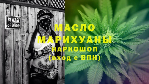 индика Зерноград