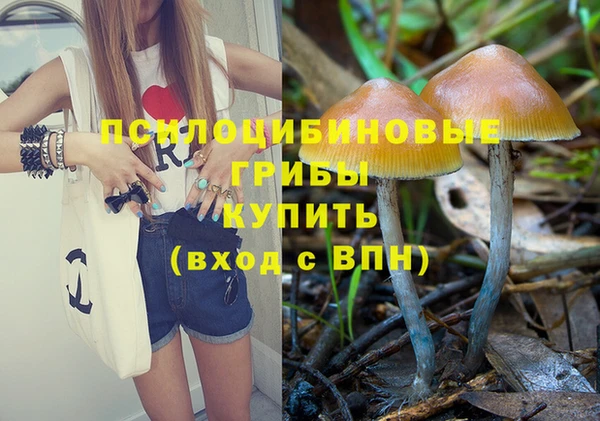 индика Зерноград