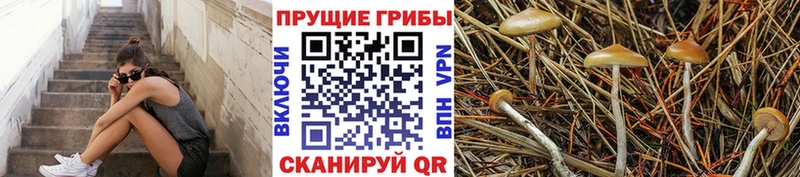 Псилоцибиновые грибы MAGIC MUSHROOMS сколько стоит Среднеуральск